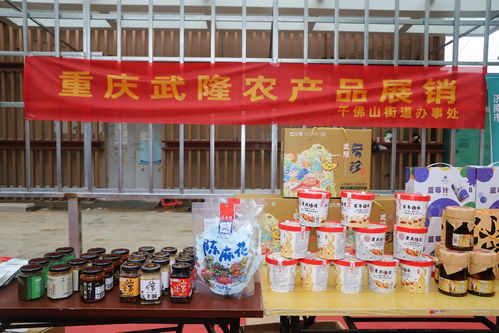 歷下區(qū)千佛山街道東西部協(xié)作農(nóng)特產(chǎn)品惠民專場(chǎng)助力農(nóng)副產(chǎn)品銷售